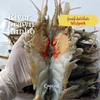 กุ้งเเม่น้ำจัมโบ้ทั้งตัว 1 ตัว pc/pack GIANT FRESH WATER PRAWN