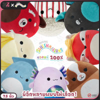 ตุ๊กตาสกุชชี่ Squishmallows ลายใหม่! ขนาด 7.5 นิ้ว สัมผัสเหมือนมาชเมลโล่ ขนาดเหมาะมือ ตุ๊กตานุ่มนิ่ม ลายสุดน่ารัก หลากหลายสีสัน ตุ๊กตา