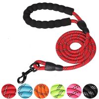 【DT】Pet Dog Leash Night Reflection Outdoor Multicolor Round Rope For Big Small Medium Large Dog Drag Pull Tow Leash Dog Accessories hot 1