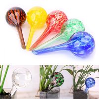 【CW】 Watering Bulb Balls Glass Drip Irrigation Lazy Bonsai Gardening Tools