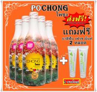 เครื่องดื่มสมุนไพร โพชง Pochong  5 ขวดใหญ่ ฟรี ยาสีฟัน ส่งฟรี เครื่องดื่มบำรุงสุขภาพ