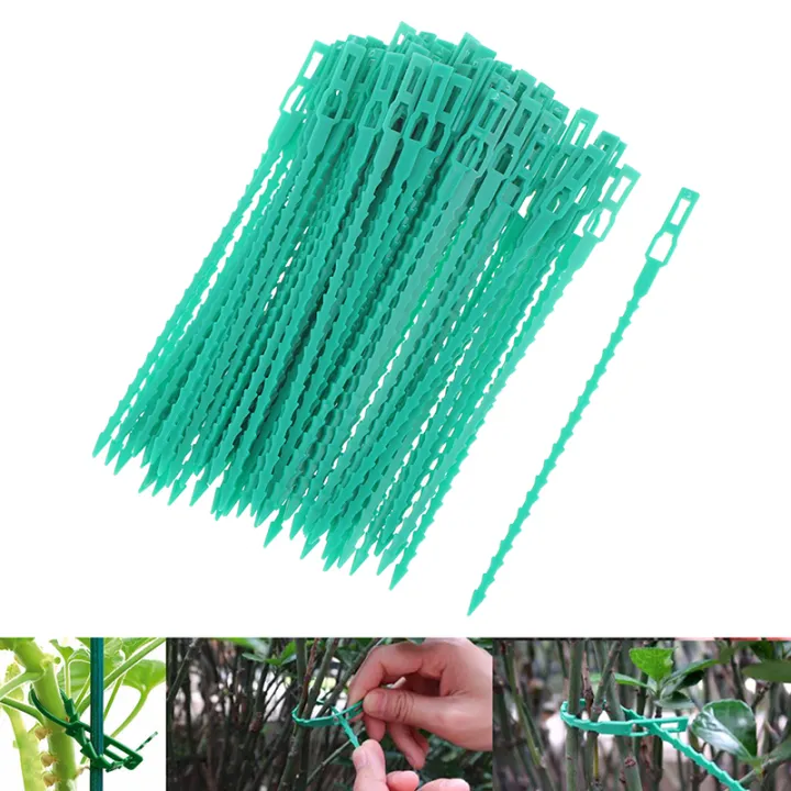 Reusable Garden Cable Ties Plant Support Shrubs Fastener Locking Adjustable Ties Lazada.co.th
