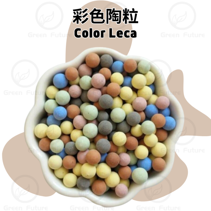 RAINBOW COLOR LECA 10MM COLOR SELECTION CLAY PEBBLES GARDENING PLANTS ...