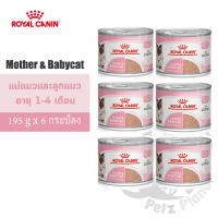 Royal Canin Mother&amp;BabyCat Mousse อาหารชนิดเปียก แบบกระป๋อง สำหรับแม่แมวและลูกแมวอายุ1-4เดือน ขนาด195กรัม x 6กระป๋อง