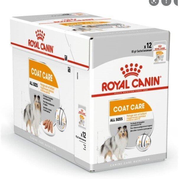 ยกกล่อง-12-ซอง-royal-canin-coat-care-dog-food-อาหารเปียกสุนัขแบบซอง-เส้นขนและผิวหนัง-สำหรับสุนัขอายุ-1-ปีขึ้นไป-85-กรัม