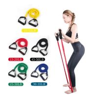 【CW】 Elastic Resistance Band Pull Rope Gym Exercise Tube With Handles Workouts Training