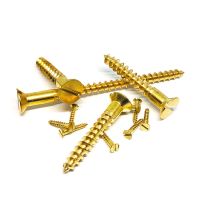 Solid Brass Slotted Countersunk Wood Screws Drive Self Tapping Wood Working Tools Chipboard Nails Screws  Fasteners