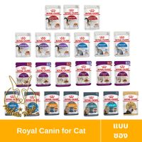 [MALETKHAO] Royal Canin (โรยัล คานิน) แบบซอง อาหารเปียกสำหรับแมวโต ขนาด 85 กรัม
