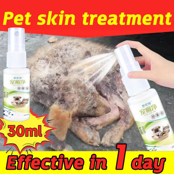 30ML Pet Ringworm Treatment Antibacterial Spray Dog and Cat Anti Tick ...