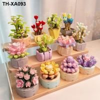 Compatible with lego garden plant flowers mini fleshy potted place childrens educational toys assembled gift
