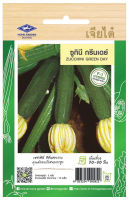 ซูกินี พันธุ์กรีนเดย์ Zucchini Green Day เมล็ดพันธุ์เจียไต๋ โฮมการ์เด้น