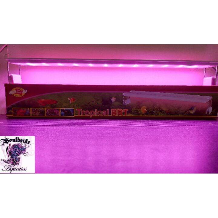 SEA QUEST Tropical BRT LED light BL800 30W (8090cm) Lazada PH
