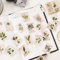 [LWF HOT]♣Mohamm Plant แผนที่สติกเกอร์ตกแต่ง DIY Scrapbooking สติกเกอร์เครื่องเขียน Kawaii คู่มือหมายเหตุสติกเกอร์ตกแต่ง