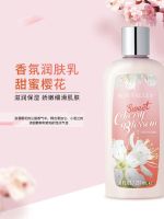 ? UU 5860 Melaleuca Sunshine Town Fragrance Body Lotion 237ml Sweet Sakura Unofficial Flagship Store