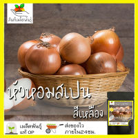 เมล็ดพันธุ์ หัวหอม สเปน สีเหลือง 150 เมล็ด Yellow Sweet Spanish Onion เมล็ดพันธุ์แท้ นำเข้าต่างประเทศ ปลูกง่าย โตไว