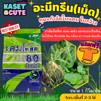 ? แถมฟรีเสื้อ 1 ตัว เคมโพสต์ (อะมีทรีน80%WG) คุมก่อน-หลังงอกหญ้าใบแคบและใบกว้าง (1กิโลกรัม)