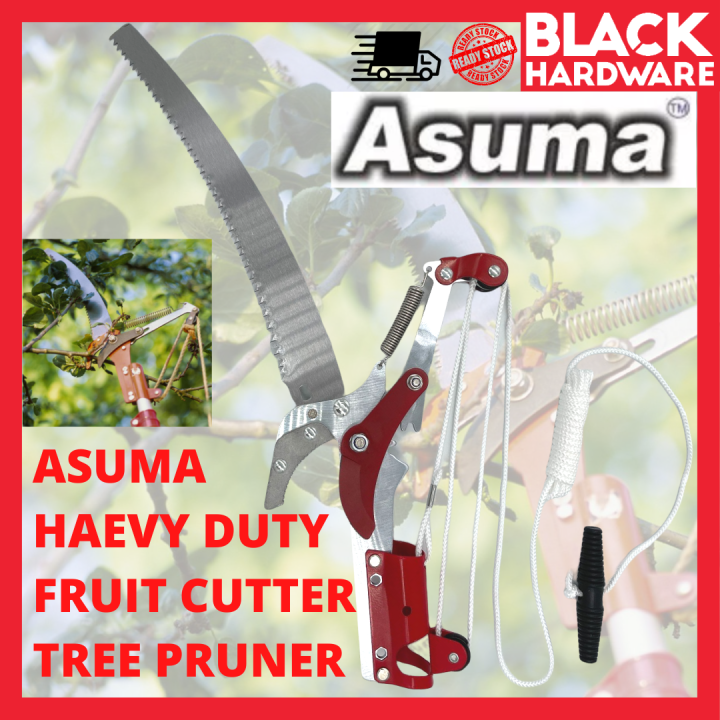 Black Hardware Asuma Pokok Buah Rambutan Shear Fruit Branch Pruning ...