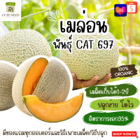 เมล็ดพันธุ์เมล่อนเนื้อสีส้ม 50เมล็ด อัตราการงอก95% ปลูกง่าย(มีของแถมเป็นเมล็ดผักกวางตุ้งทุกออเดอร์)