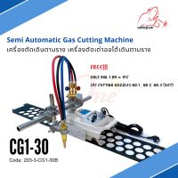 เครื่องตัดเหล็ก เครื่องตัดตามราง เครื่องตัดเต่าออโต้เดินตามราง CG1-30 Gas Cutting Machine