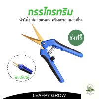 [ready stock][ส่งฟรี]กรรไกรทริม ปลายโค้ง ไทเทเนี่ยม Trimming scissors กรรไกรสำหรับตัดแต่งกิ่งไม้มีบริการเก็บเงินปลายทาง