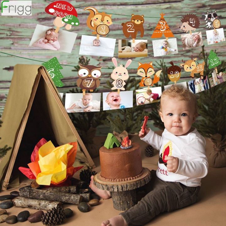 1-12-month-photo-banner-woodland-photo-banner-happy-birthday-party-decor-baby-shower-1st-birthday-boy-girl-12-month-photo-banner