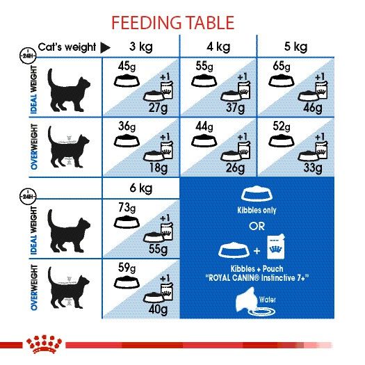 หมดกังวน-จัดส่งฟรี-royal-canin-indoor-อาหารแมว-อาหารแมวโต-แมวอาศัยในบ้าน-ขนาด-2-กิโลกรัม-4-กิโลกรัม-10-กิโลกรัม-บริการเก็บเงินปลายทาง