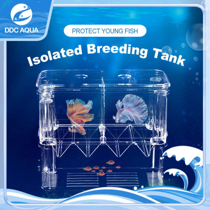 【DDC AQUA】1pcs BREEDING TANK, ISOLATION TANK, HATCHING BOX, INCUBATOR ...