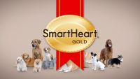 SmartHeart Gold - อาหารสุนัขชนิดเม็ด ขนาด 1กก