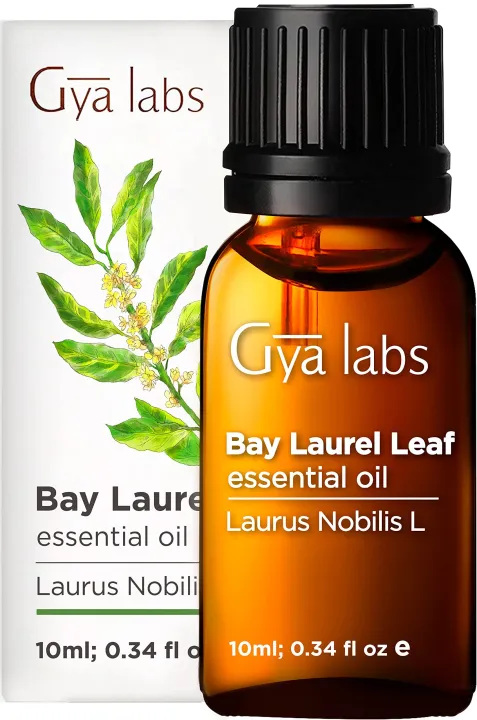 Gya Labs Bay Leaf Essential Oil for Dry Hair & Scalp (10ml) - Pure,  Therapeutic Grade Bay