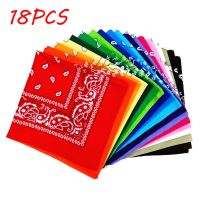 18pcs Paisley Bandanas Multi Colored Set Cowboy Bandana Head Scarf Double Sided Headwear Face Mask Riding Camping Headscarf