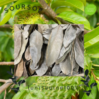 ใบทุเรียนเทศแห้ง (Dried Soursop) 500กรัม