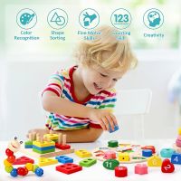 Montessori Games Baby Toys 3D Wooden Puzzles For Kids Learning Toys Educational Wooden Toys For Children 1 2 3 Years Old