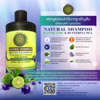 แชมพูธรรมชาติมะกรูดอัญชัญ ลดผมร่วง ลดผมหงอก ลดความมัน Isabella Nature Zen Natural Shampoo Kaffir Lime &amp; Butterfly Pea