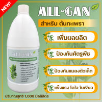 ปุ๋ยน้ำกะเพราปุ๋ยชีวภาพALL GAN1000ml.ปุ๋ยน้ำออแกนิคช่วยต้านทานโรคสูตรเข้มข้นพิเศษใช้ได้นานจากธรรมชาติ100%ช่วยบำรุงฟื้นฟูโตเร็วแตกยอดไว