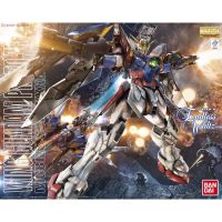 Wing Gundam Proto Zero MG 1/100