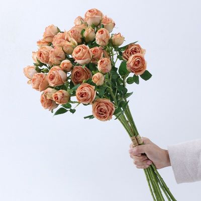 【DT】 hot  Retro Simulation Roses Branch Auditorium Study Indoor and Outdoor Decoration Fake Flowers Burnt Edge Artificial Rose BranchesTH