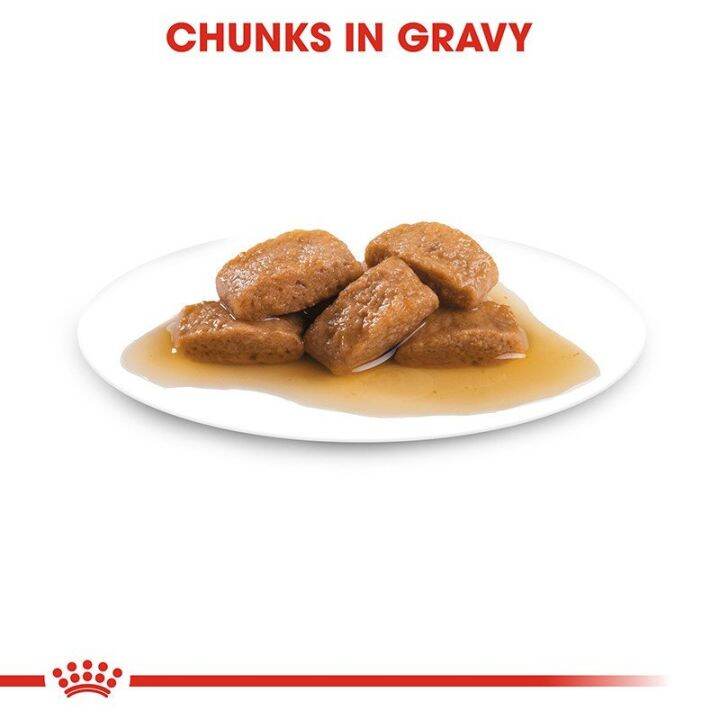 ยกกล่อง-10-ซอง-royal-canin-maxi-adult-pouch-gravy-อาหารเปียกสุนัขโต-พันธุ์ใหญ่-อายุ-15-เดือน-8-ปี-ซอสเกรวี่-wet-dog-food-โรยัล-คานิน