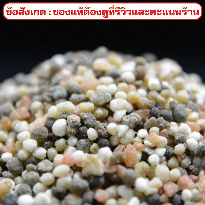 ปุ๋ย-สูตร-16-16-8-ตรารถเกษตร-บรรจุ-2-กิโลกรัม-บำรุงต้น-ดอก-ใบ-ช่วยเพิ่มให้พืชมีสีเขียวเข้ม-มีประโยชน์ต่อการสังเคราะห์แสงทำให้พืชแข็งแรง