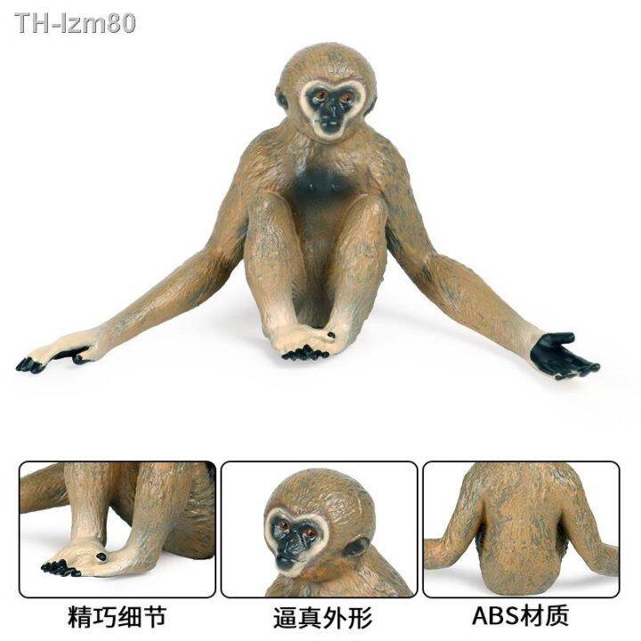 ของขวัญ-childrens-cognitive-solid-simulation-model-of-wildlife-static-gibbon-ape-monkey-plastic-toy-furnishing-articles