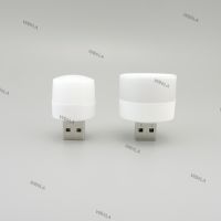 Mini 2 USB DC port Plug Lamp LED Night Light 5V 1W Super Bright Eye Protection Book reading for Computer Mobile Power Charging WB6TH