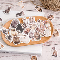 【2023】45pcs Cute Cat ed Stickers Decor Junk Journal DIY Scrapbooking Materials Vintage Decor Sticker Stationery