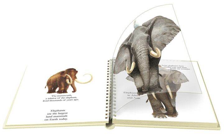 my-first-discoveries-book-หมอ-ประเสริฐ-แนะนำ-ความรู้-elephants-เล่มหนา-ปกแข็ง-ของแท้