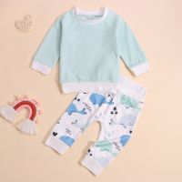 2Pcs Kids Spring Tracksuit, Splicing Color Long Sleeves Pullover + Floral/Whale Casual Pants for Little Boys, Girls, Autumn  by Hs2023