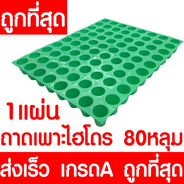 ค่าส่งถูก-ถ้วยปลูกผัก-100ใบ-ถ้วยปลูกผักไฮโดรโปนิกส์-ถ้วยปลูกผักไฮโดร-ถ้วยปลูกขาว-สีขาว-แบบใช้ซ้ำ-ไฮโดรโปนิกส์-ไฮโดร-hydroponic-hydro