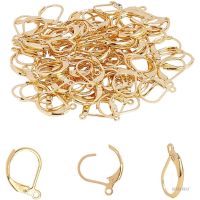 80pcs Golden Leverback Earring Findings 304 Stainless Steel Leverback Earrings with 1.4mm Loop Lever Back Hoop Earring for DIY Earrings Making 15x10x2mm Pin 1x0.8mm