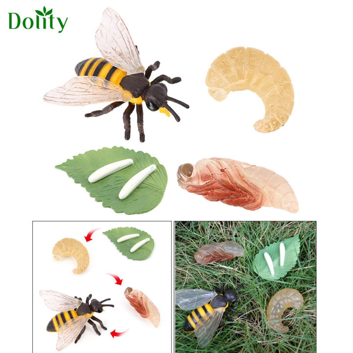 Simulation Insect Bee Life Cycle Toy 4 Piece Set Shows The Life