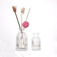 50ml 100ml empty super white glass material birdcage shape glass diffuser bottle Aromatherapy bottles