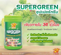 ซุปเปอร์กรีน Supergreen  พลังเขียว  ฮอร์โมนพืช ใบเขียว ยอดพุ่งไว แตกกอดี มีรากเยอะ ทนแล้ง ทนหนาว 100 กรัม