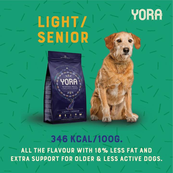 petclub-yora-light-senior-อาหารสุนัขสูงอายุ-หรือ-ลดน้ำหนัก-ครบโภชนาการจากโปรตีนแมลง-1-5kg