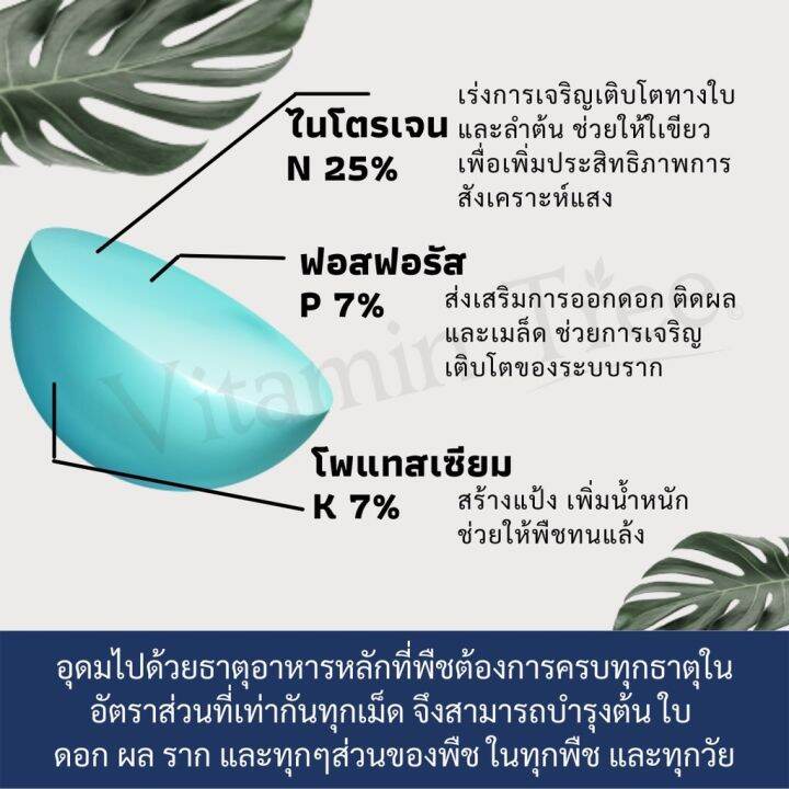 ปุ๋ย-25-7-7-บรรจุถุง-น้ำหนัก-7-กก-สำหรับ-เร่งต้น-เร่งใบ-เร่งการเจริญเติบโต-บ